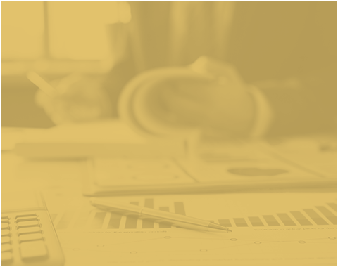 Due Diligence & Auditoria